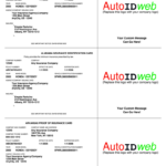 Auto Insurance Id Card Template