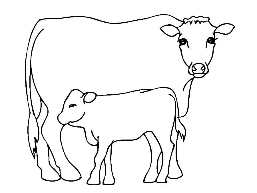 Cow And Calf 2 Coloring Page Free Printable Coloring Pages For Kids