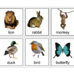 Free Printable Farm Animal Flash Cards Free Printable