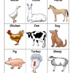 Free Printable Farm Animal Flash Cards Printable Card Free