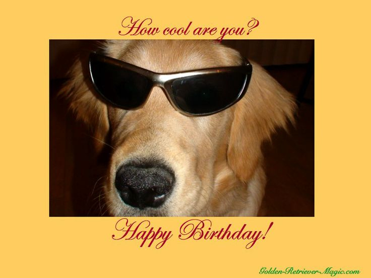 Happy Birthday With Dogs Images Free Dog Ecards Free Printable