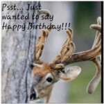 Image Result For Happy Birthday Hunting Birthday Wishes For Him