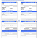 Patient Medication Card Template Emergency Kits Throughout Medication