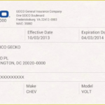 Printable Fillable Fake Car Insurance Card Template American my id