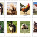 Real Farm Animals Printables Images And Photos Finder