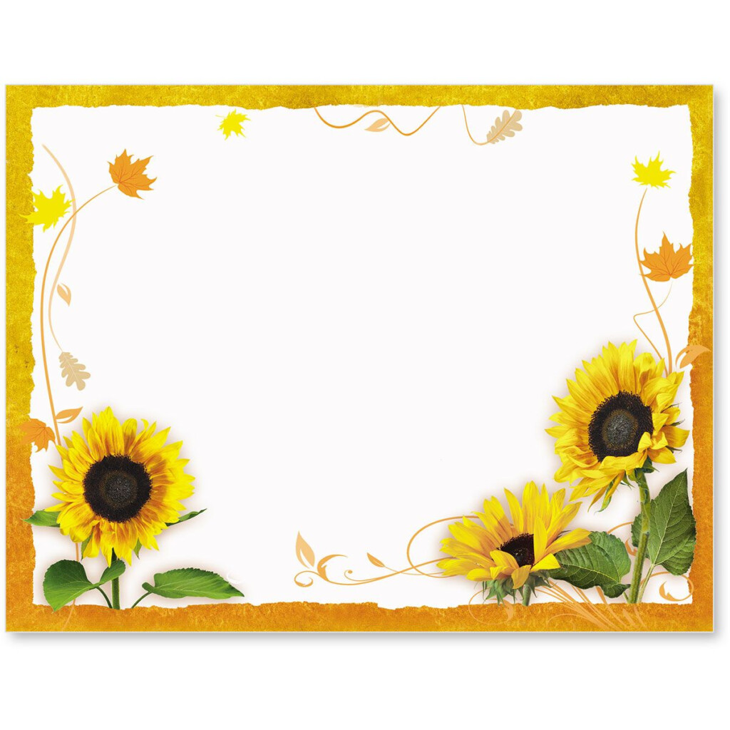 Sunflower Surprise Postcards Sunflower Cards Sunflower Art Postcard