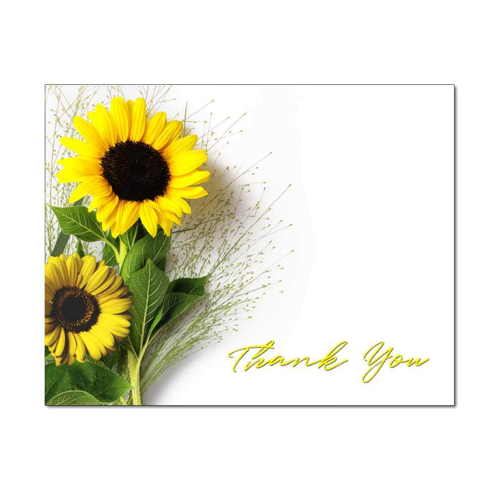 Sunflower Thank You Cards The Image Shop